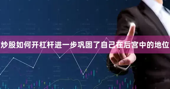 炒股如何开杠杆进一步巩固了自己在后宫中的地位