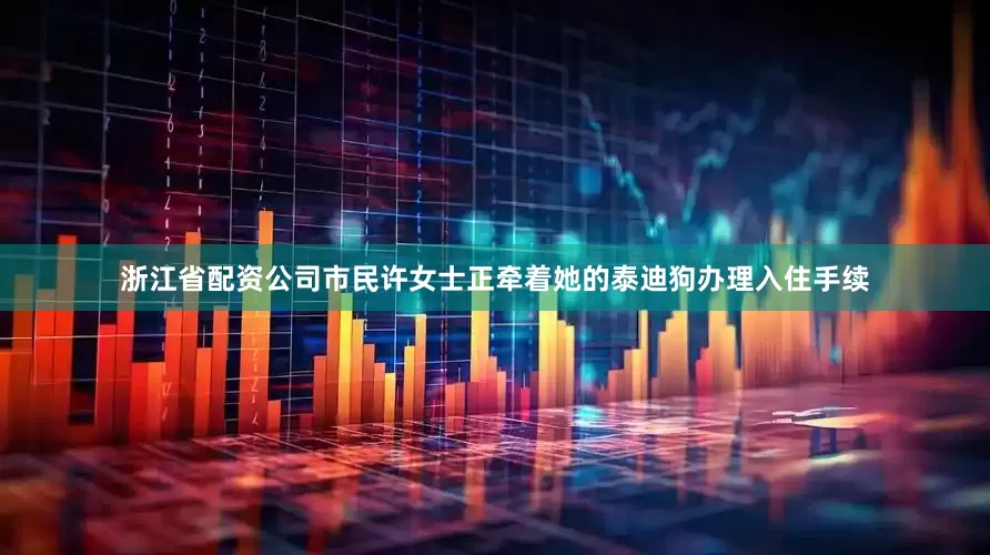 浙江省配资公司市民许女士正牵着她的泰迪狗办理入住手续