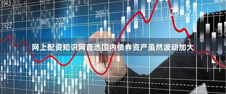 网上配资知识网首选国内债券资产虽然波动加大